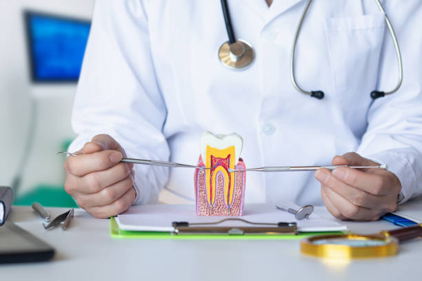 Best Emergency Tooth Extraction  in Mayer, AZ
